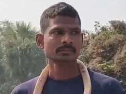 गले में सांप डालकर बाजार घूम रहा था लड़का, अचानक काटने से पहुंच गया अस्पताल, देखें VIDEO