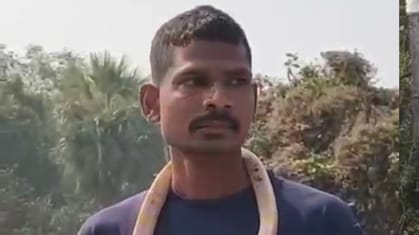 गले में सांप डालकर बाजार घूम रहा था लड़का, अचानक काटने से पहुंच गया अस्पताल, देखें VIDEO