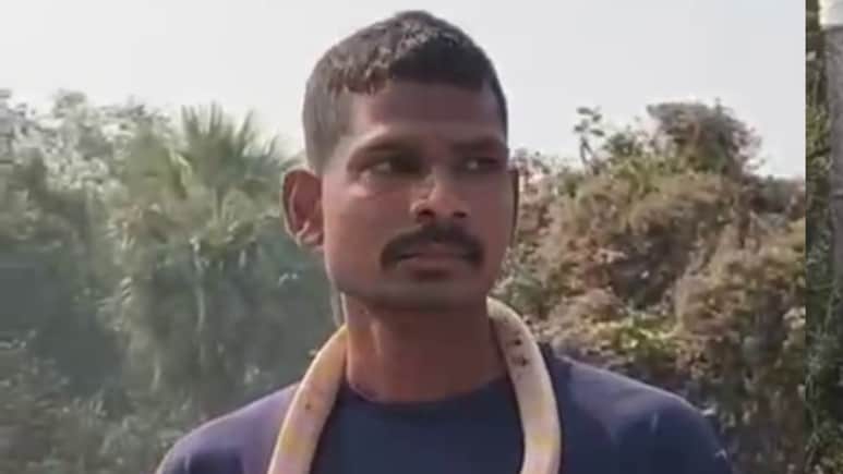 गले में सांप डालकर बाजार घूम रहा था लड़का, अचानक काटने से पहुंच गया अस्पताल, देखें VIDEO