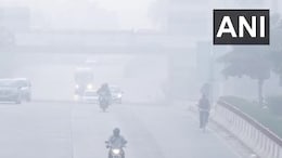 Delhi Freezes At 2.9 Degrees Celsius As Cold Wave Intensifies