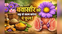 बिना ऑपरेशन के जड़ से बवासीर को खत्म करेगा ये फूल, जानें कैसे करना होगा इस्तेमाल
