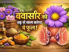 बिना ऑपरेशन के जड़ से बवासीर को खत्म करेगा ये फूल, जानें कैसे करना होगा इस्तेमाल