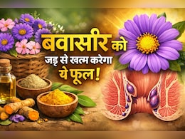 बिना ऑपरेशन के जड़ से बवासीर को खत्म करेगा ये फूल, जानें कैसे करना होगा इस्तेमाल