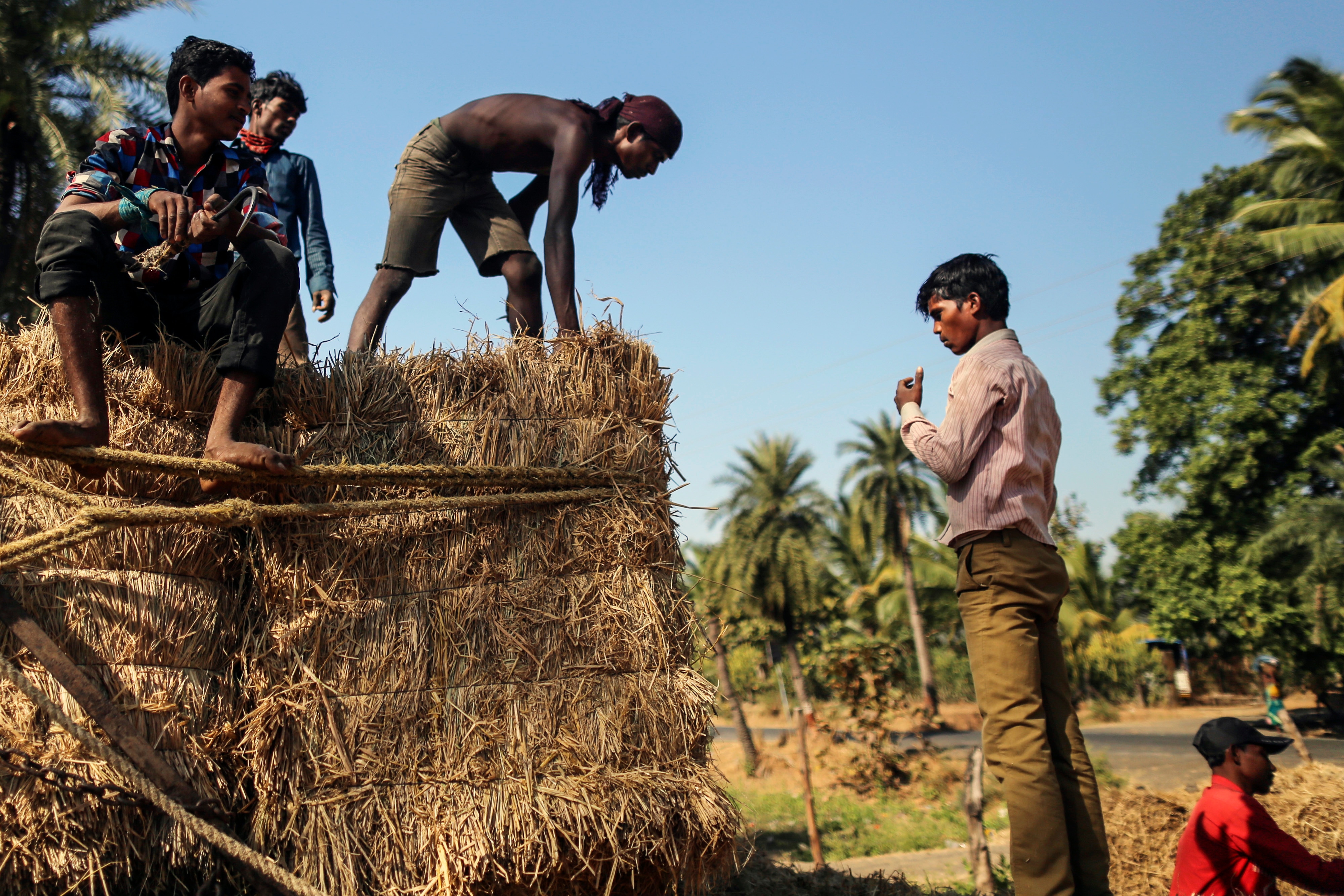 Government Disputes Claim Of Delay In Releasing MGNREGA Funds In Supreme Court