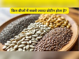 अलसी, चिया, कद्दू: सबसे ज्यादा प्रोटीन किस बीज में होता है?