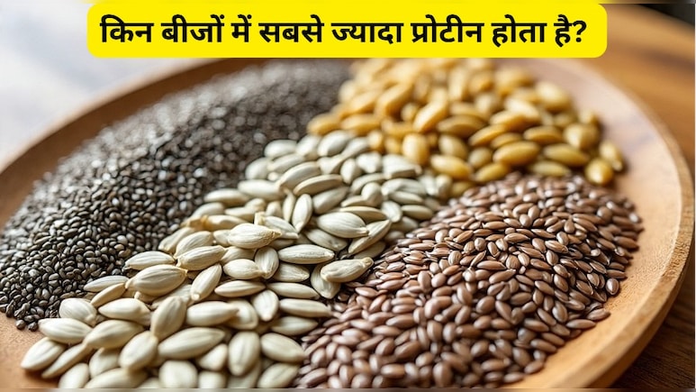 अलसी, चिया, कद्दू: सबसे ज्यादा प्रोटीन किस बीज में होता है?