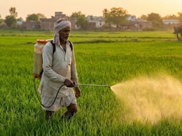 कीटनाशक का छिड़काव करते समय नागौर के किसान की मौत, आप भी हो जाए सावधान; नहीं तो जा सकती है जान