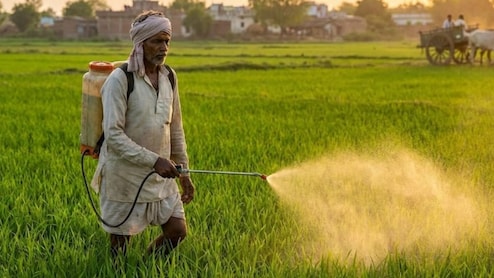 कीटनाशक का छिड़काव करते समय नागौर के किसान की मौत, आप भी हो जाए सावधान; नहीं तो जा सकती है जान