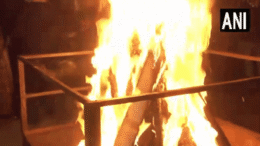 Lohri 2026 Updates: मूंगफली, फुल्लियां, रेवड़ी... दिल्ली से पंजाब तक देशभर में कैसे मनी लोहड़ी, देखें वीडियो
