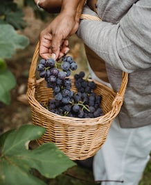 Gut-Skin Axis: Skin-Friendly Foods