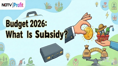 Union Budget 2026: What Is A Subsidy? Check Definition, Key Aspects, Pro, Cons And More