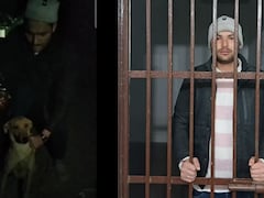 Video: UP Man Forces Dog To Drink Alcohol, Gets Arrested