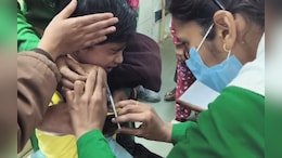 कुत्तों का आतंक बेलगाम, रोजाना डॉग बाइट्स के 100 मामले आ रहे हैं सामने, डॉक्टरों ने दी ये सलाह