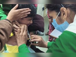 कुत्तों का आतंक बेलगाम, रोजाना डॉग बाइट्स के 100 मामले आ रहे हैं सामने, डॉक्टरों ने दी ये सलाह