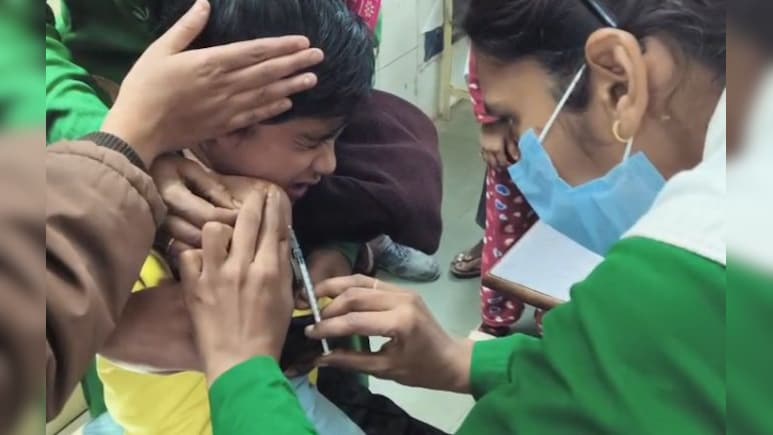 कुत्तों का आतंक बेलगाम, रोजाना डॉग बाइट्स के 100 मामले आ रहे हैं सामने, डॉक्टरों ने दी ये सलाह