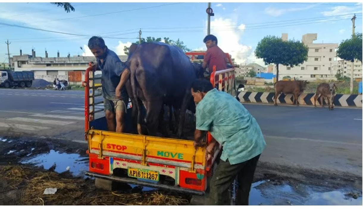 Latest and Breaking News on NDTV
