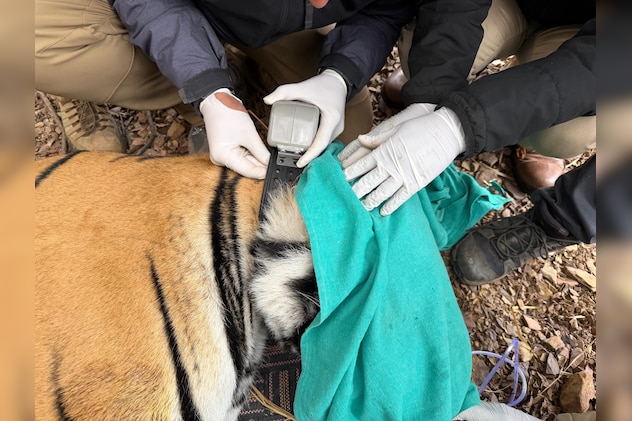 Latest and Breaking News on NDTV Latest and Breaking News on NDTV