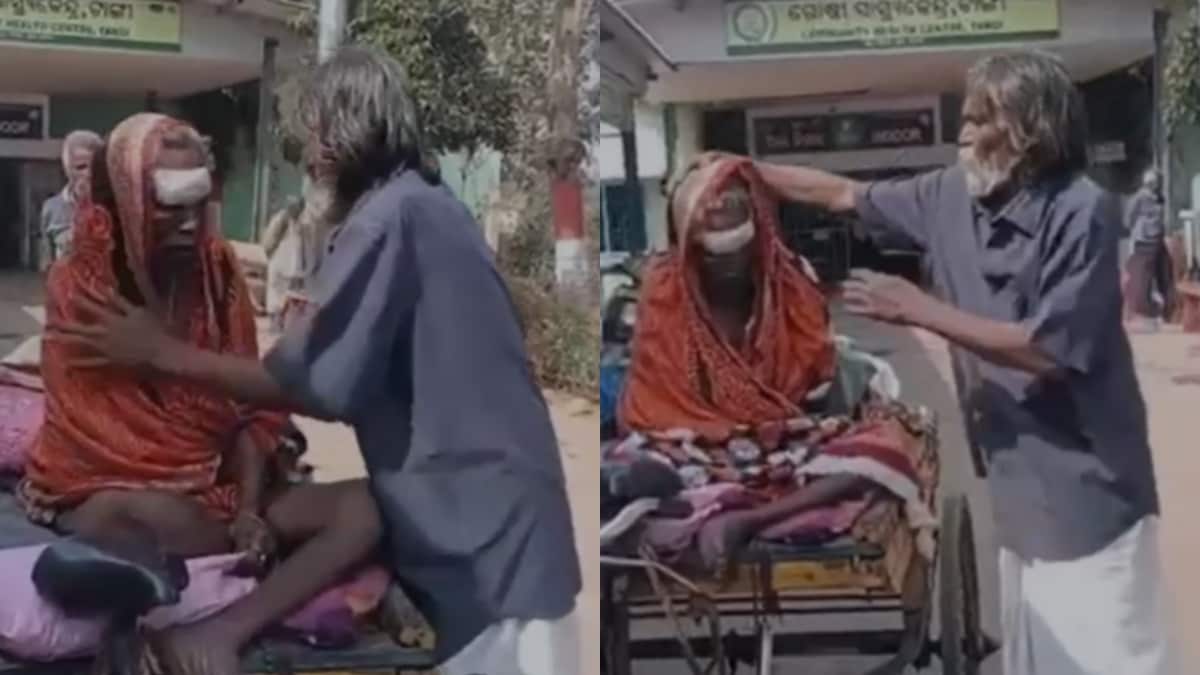 Latest and Breaking News on NDTV