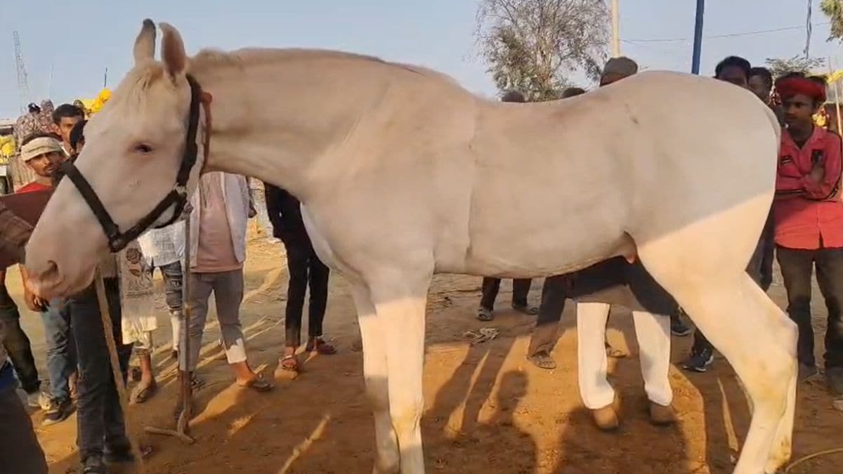 Latest and Breaking News on NDTV Latest and Breaking News on NDTV