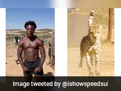 IShowSpeed Races Cheetah During Africa Tour, Internet Can't Believe It