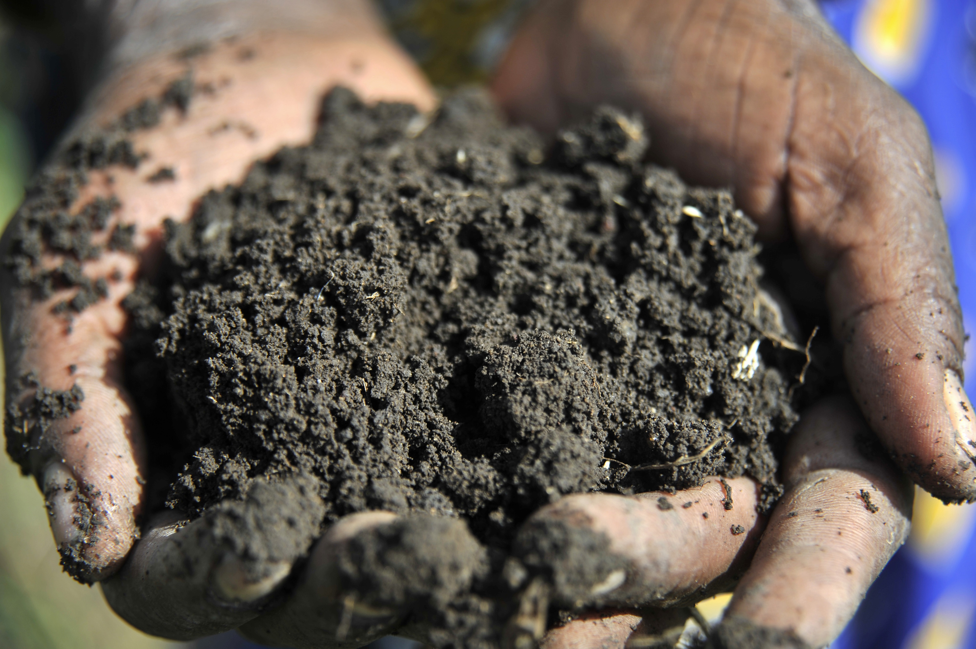 Madras Fertilizers Expects To Return To Black By March 2019