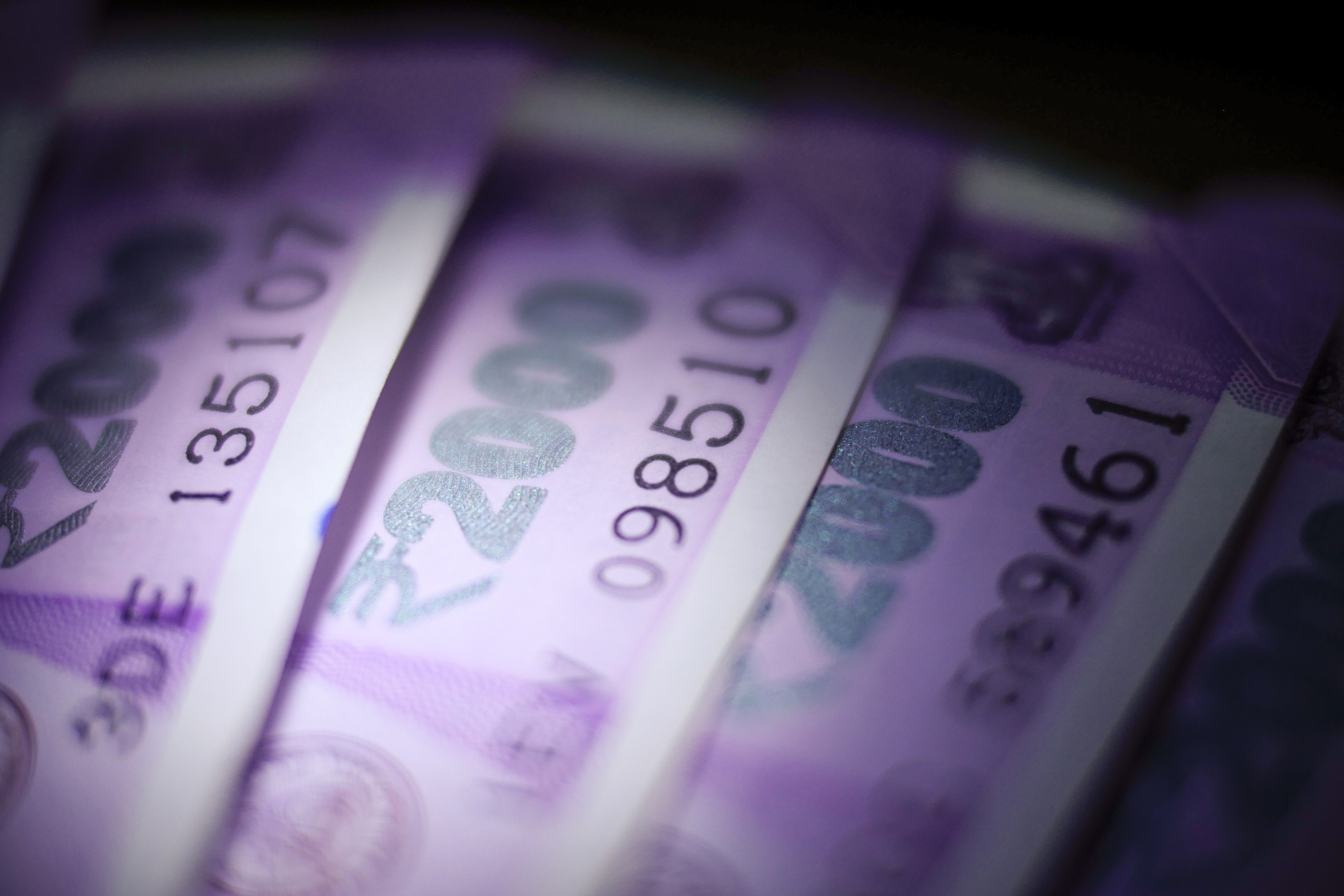PNB Fraud Going On Since 2010, CBI Tells Court&nbsp;