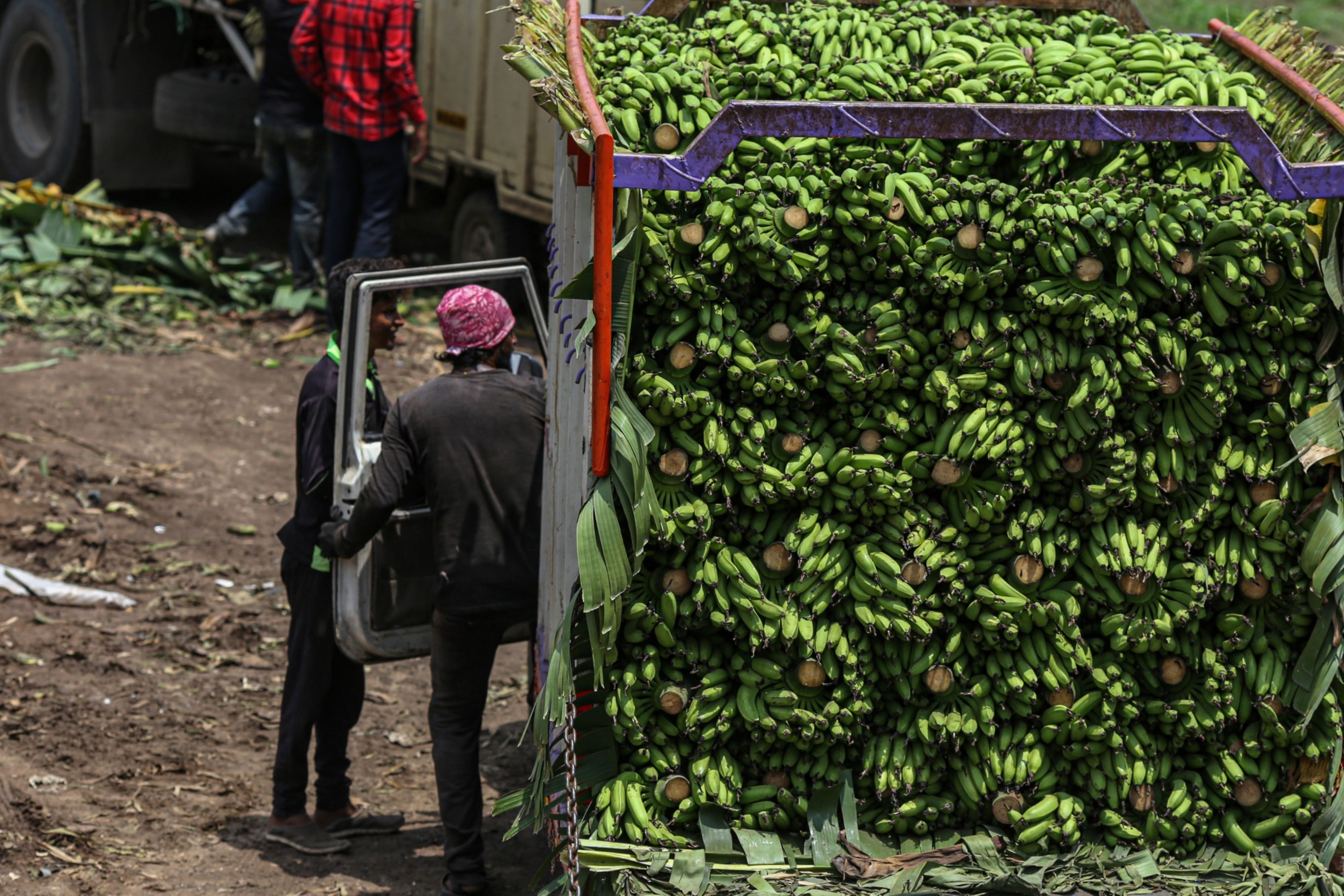 India Economy Watch - Economic Activity Grew In Double-Digits In June: Motilal Oswal