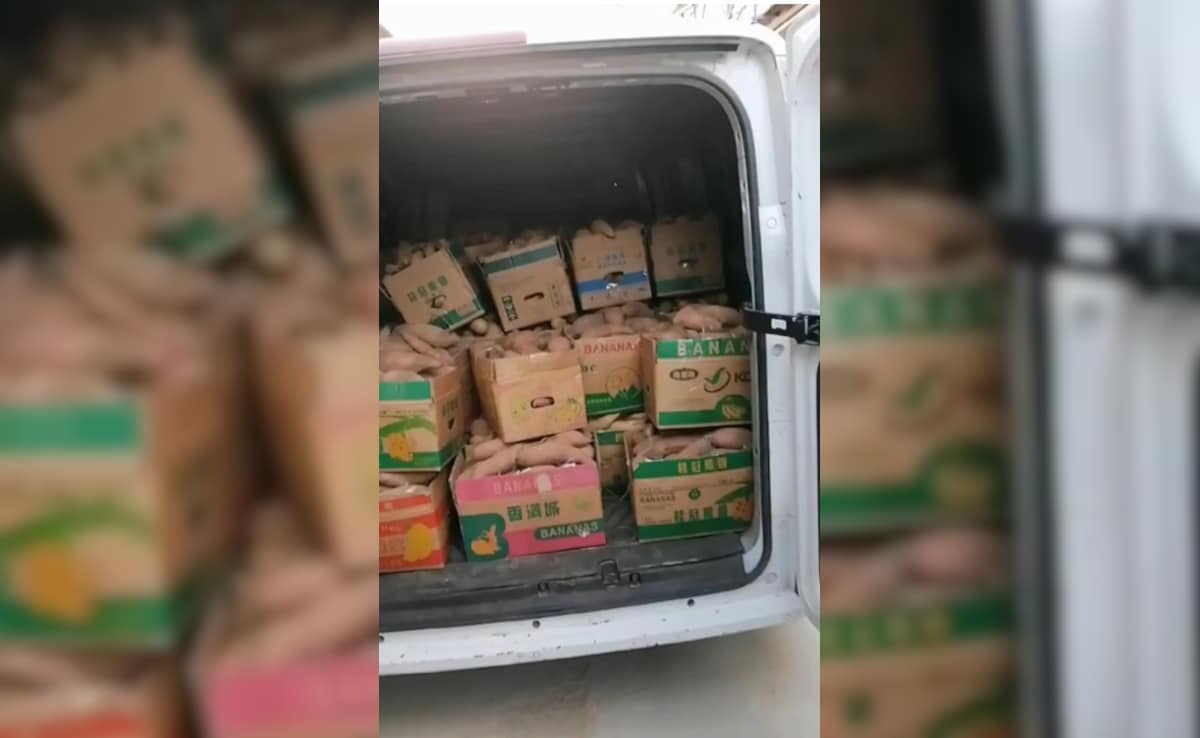 Latest and Breaking News on NDTV Latest and Breaking News on NDTV