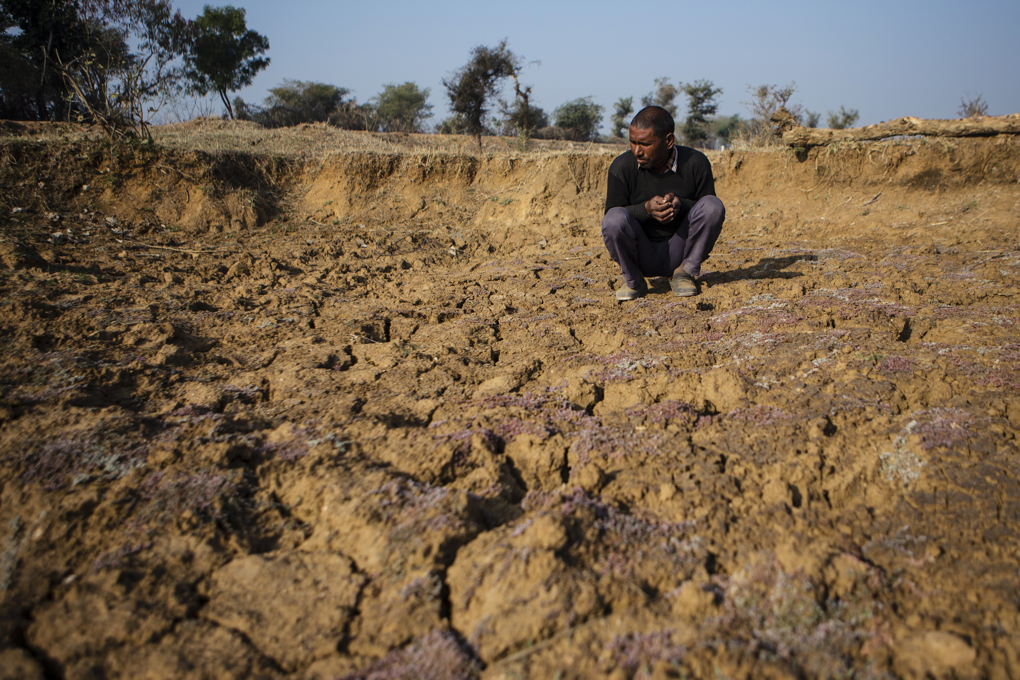 2019 Monsoon: Why India Does Not Declare &lsquo;Droughts&rsquo; Any More