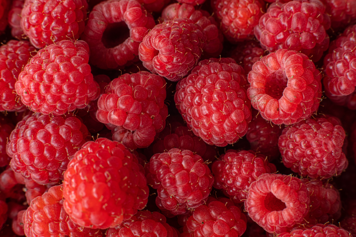 Raspberry is a nutrient-dense fruit which helps maintain kidney health