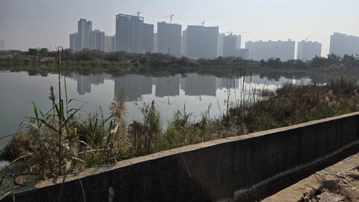 Latest and Breaking News on NDTV