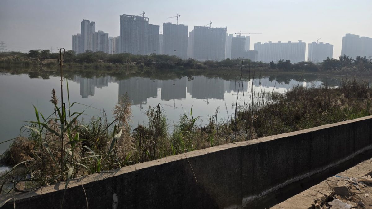 Open Pits, Dark Roads: NDTV Surveys Noida's Hazardous Traps After Techie Death