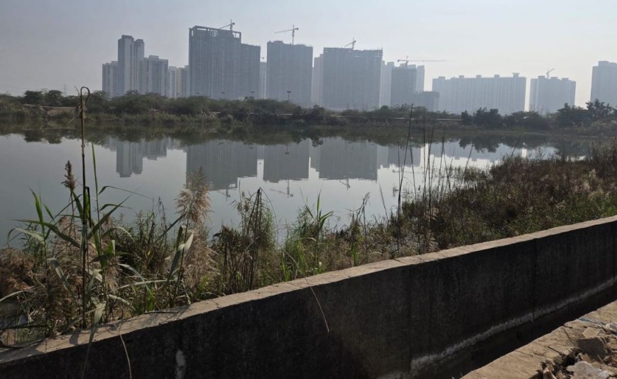 Open Pits, Dark Roads: NDTV Surveys Noida's Hazardous Traps After Techie Death