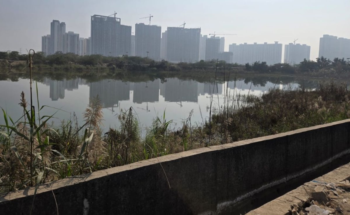 Open Pits, Dark Roads: NDTV Surveys Noida's Hazardous Traps After Techie Death