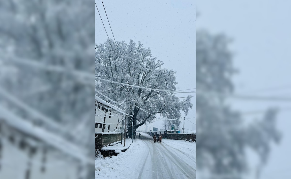 Latest and Breaking News on NDTV Latest and Breaking News on NDTV