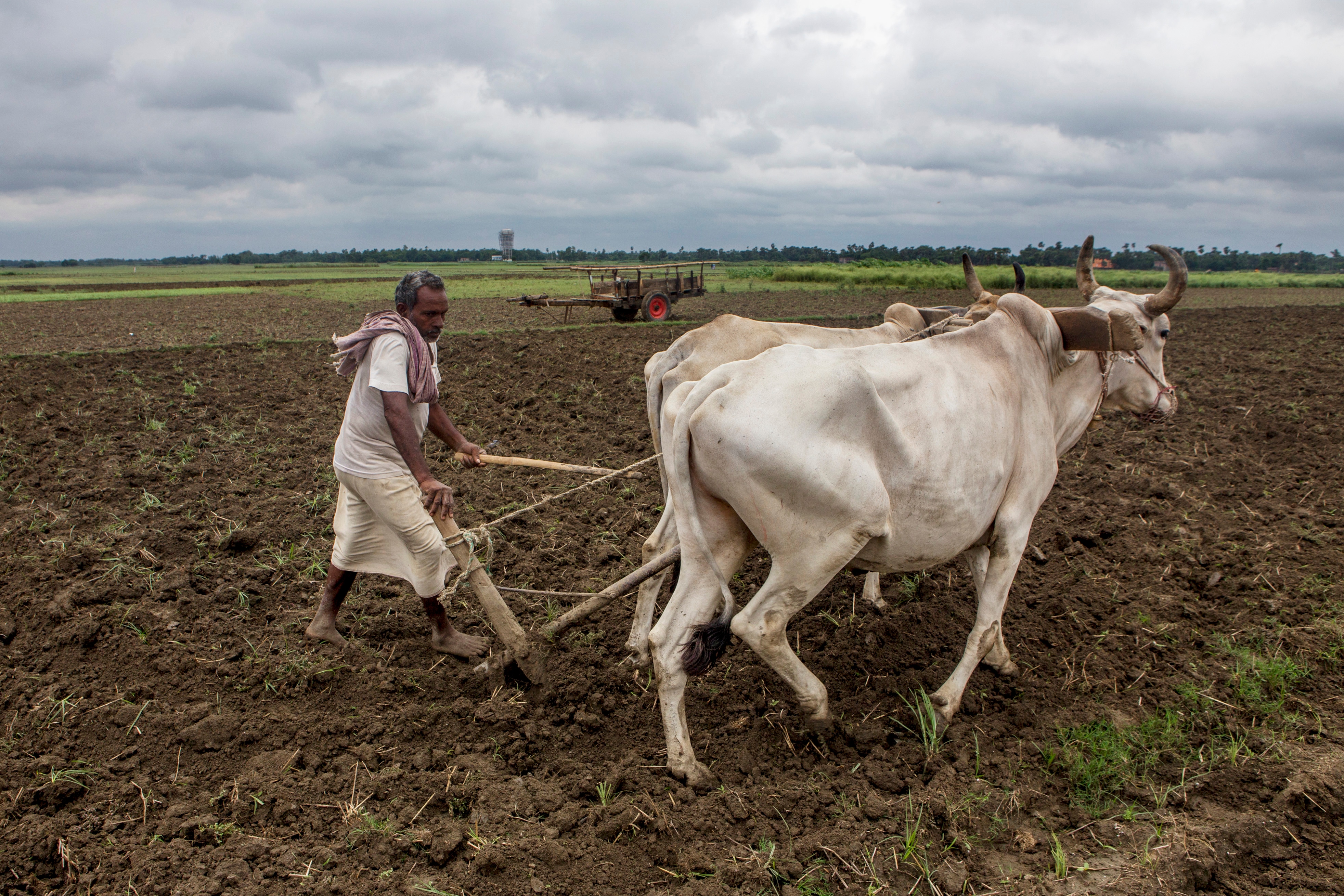 Follow Uttar Pradesh, Announce Farm Loan Waiver, Opposition Asks Maharashtra Government