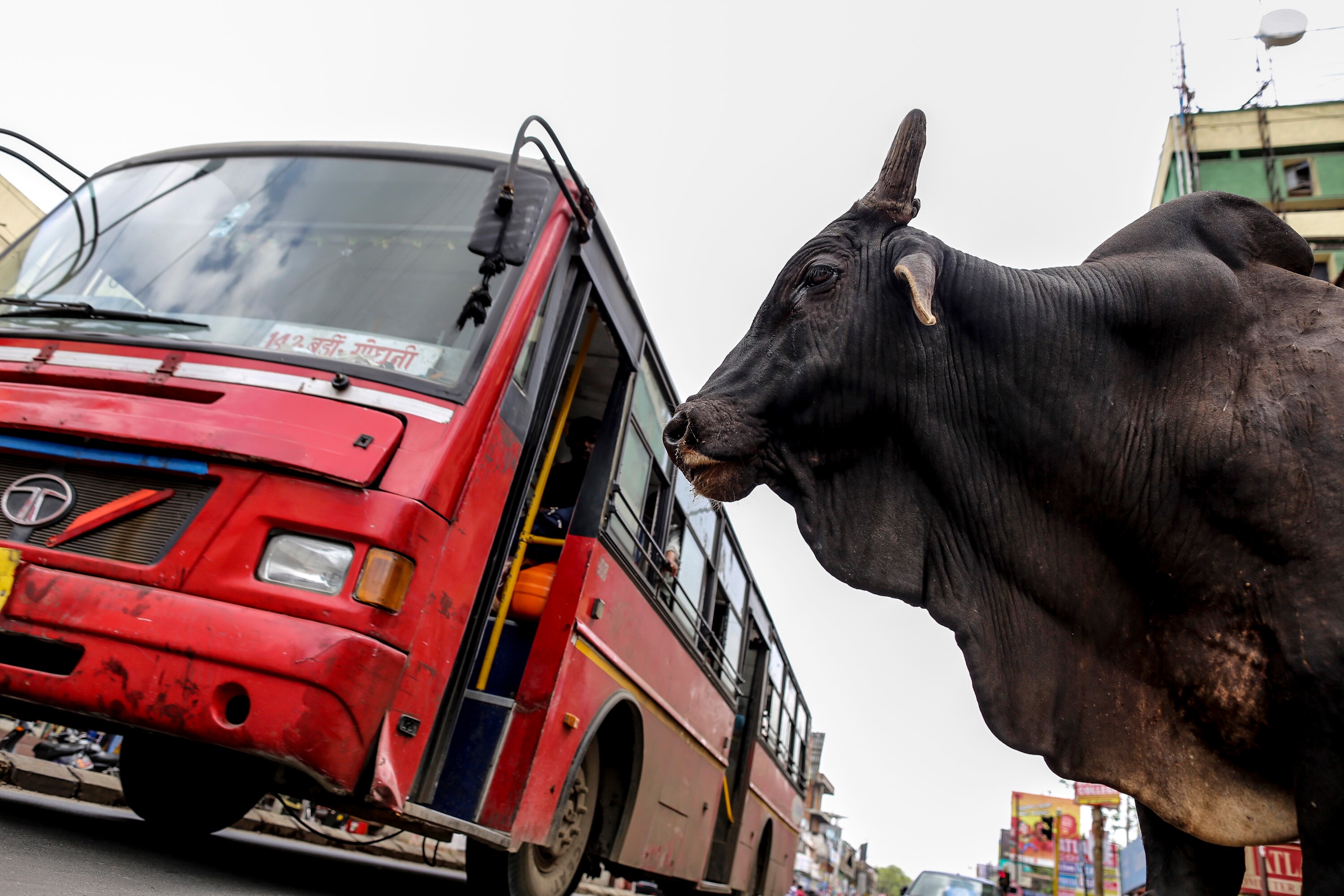 India&rsquo;s Bus Sales Set To Fall First Time In Three Years As Cities Are Not Buying More