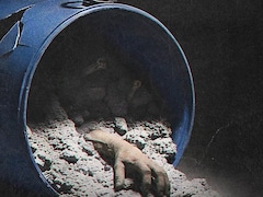 IMDb की 9.7 वाली वो सीरीज, जिसमें नीले ड्रम और हनीमून हत्या की सच्चाई देख कांपेगी रूह! लोग बोले- स्पाइन चिलिंग वॉर्निंग