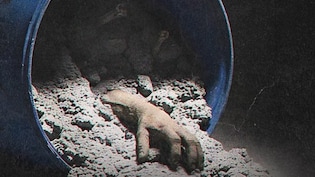 IMDb की 9.7 वाली वो सीरीज, जिसमें नीले ड्रम और हनीमून हत्या की सच्चाई देख कांपेगी रूह! लोग बोले- स्पाइन चिलिंग वॉर्निंग