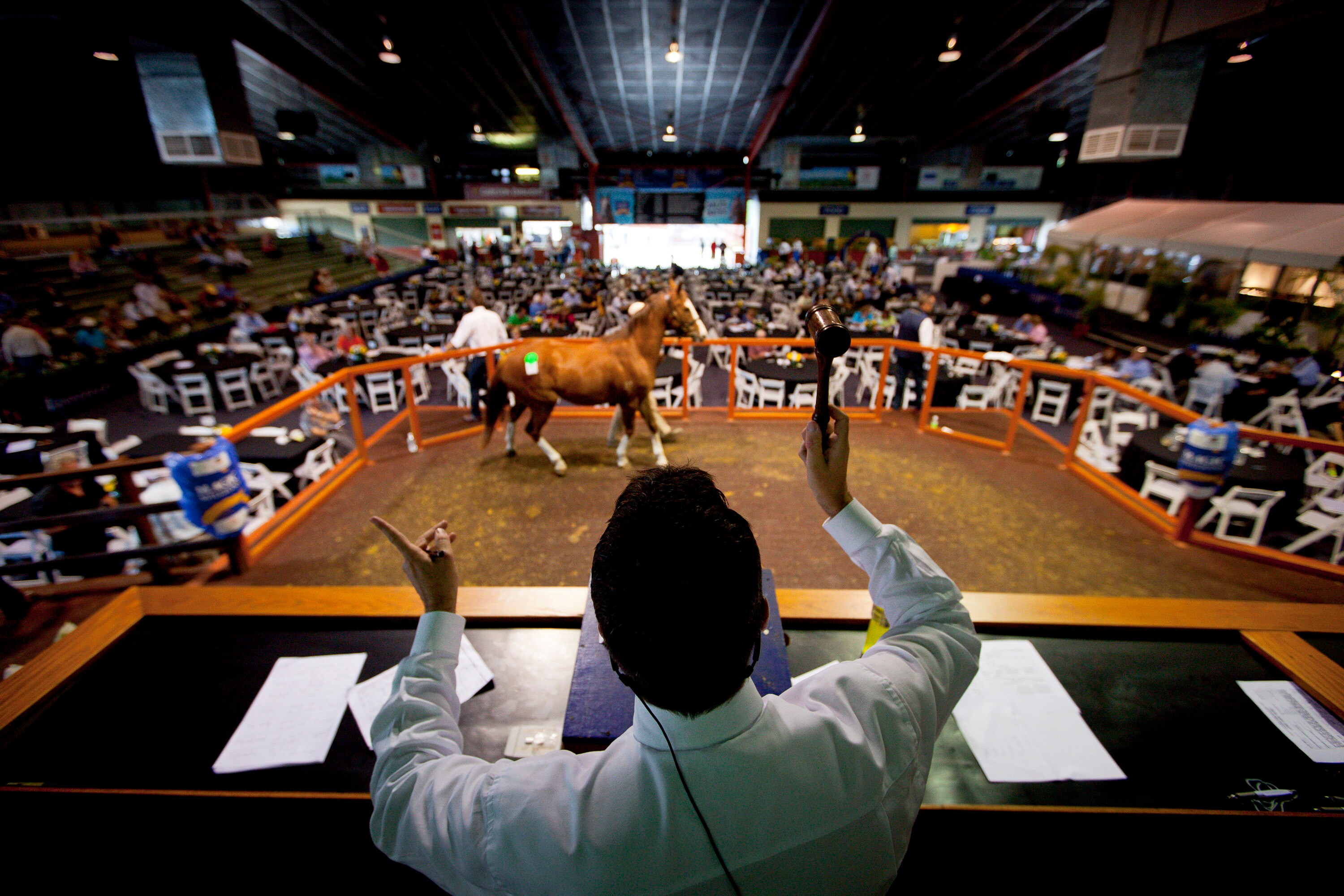IBC: Why Resolution Plans Are Unsuited To An Auction According To India&rsquo;s Insolvency Regulator IBBI&rsquo;s Sahoo