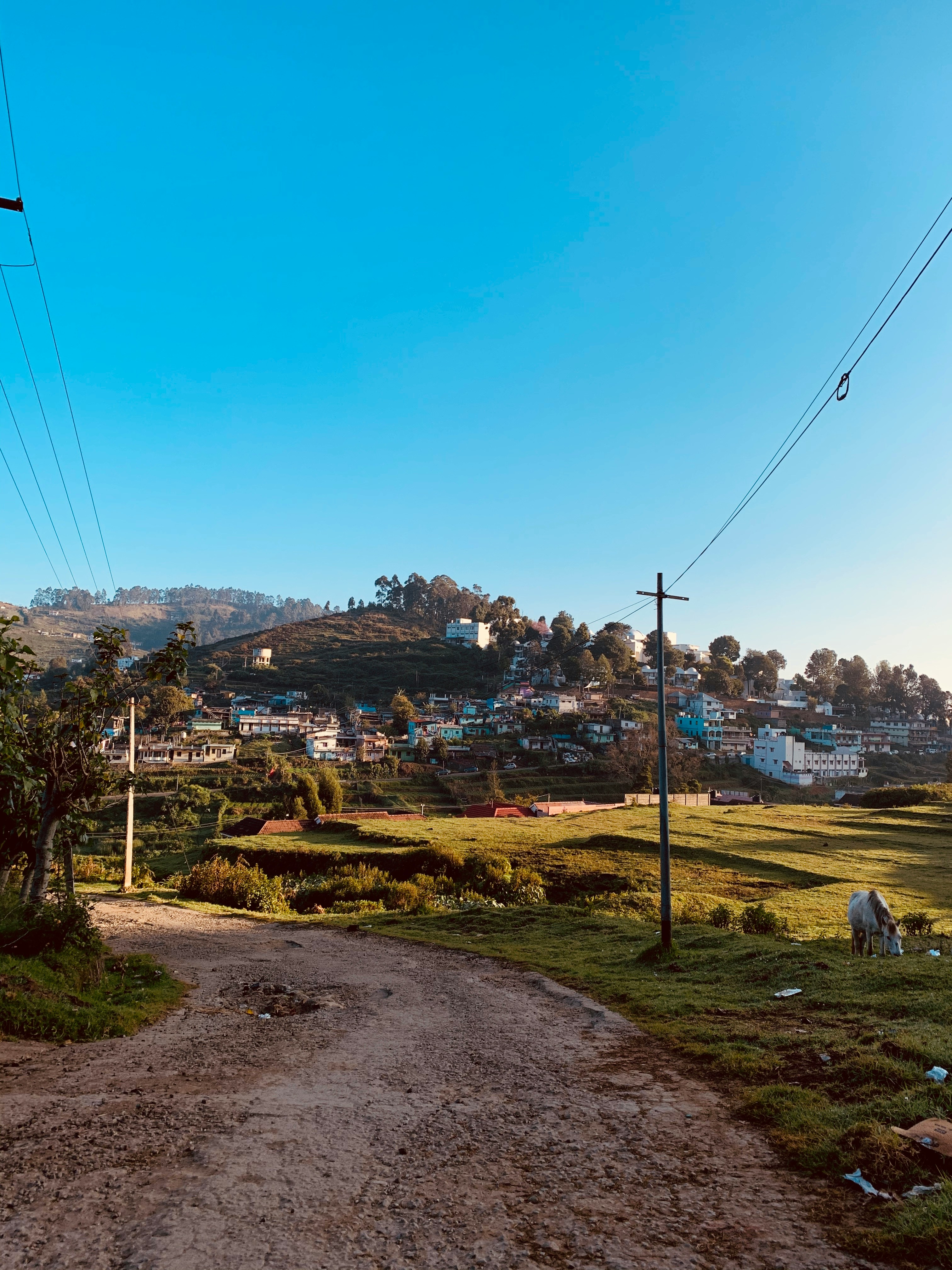 5 Places To Visit In Kodaikanal