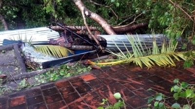 Cyclone Gaja: Cyclone Gaja Kills 13, Leaves Trail Of Destruction In ...