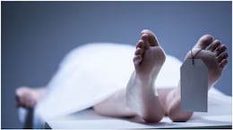 राजस्थान में 'ब्लैक फ्राइडे': कोहरे और शीतलहर के बीच सड़कों पर बिछी लाशें, 4 जिलों में भीषण हादसों में 11 की मौत