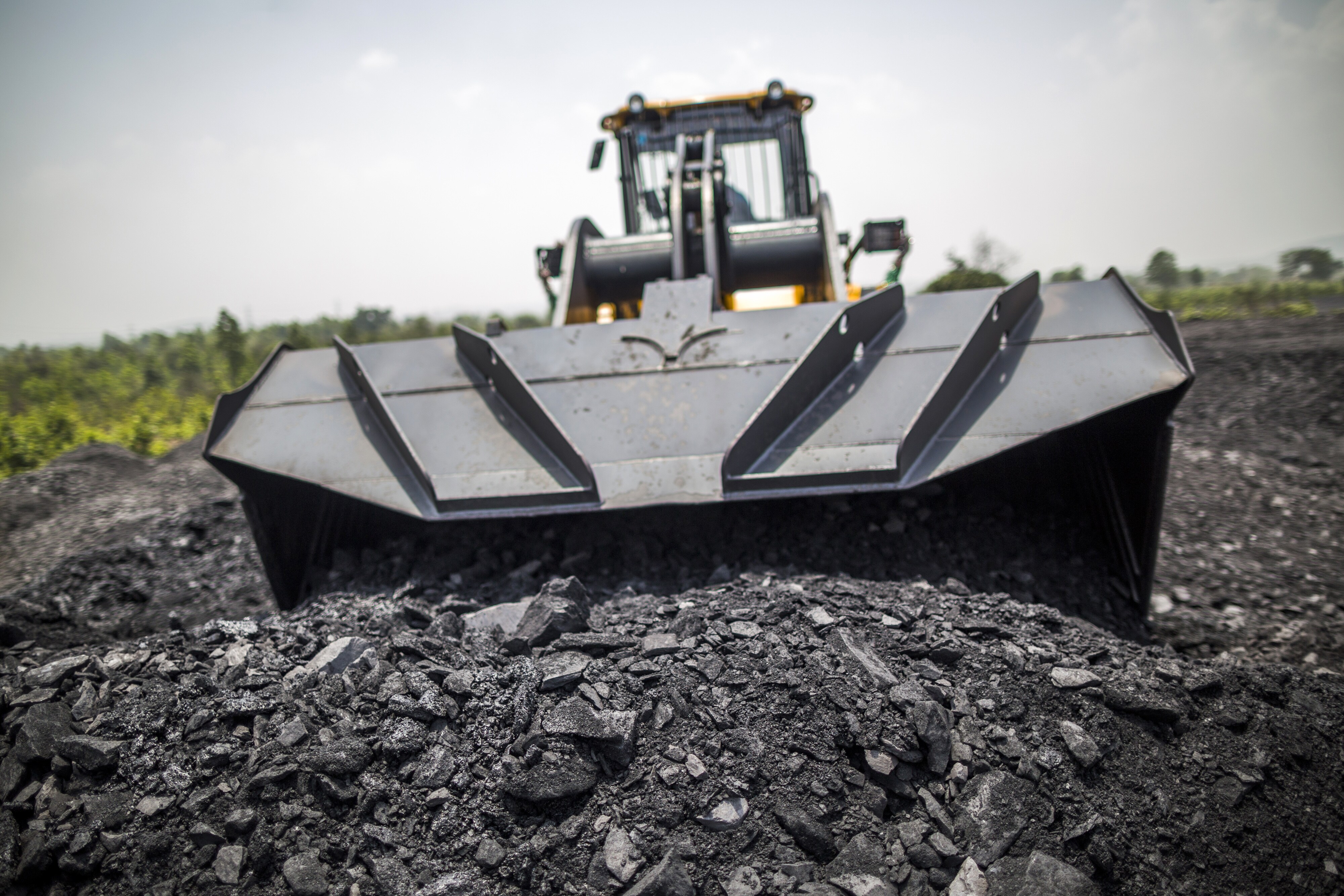 Government Sells 3.18% In Coal India, To Get Rs 5,300 Crore