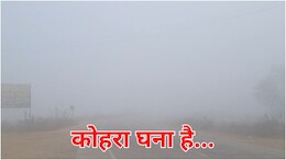 MP Weather Today: कोहरे की चादर से ढका मध्यप्रदेश, दिन में भी ठिठुरन, इन शहरों में पारा 20 डिग्री से नीचे