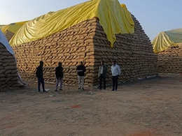 Paddy Heist Blamed On Rats, Birds Points To Bigger Scam In Chhattisgarh