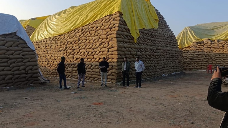 Paddy Heist Blamed On Rats, Birds Points To Bigger Scam In Chhattisgarh