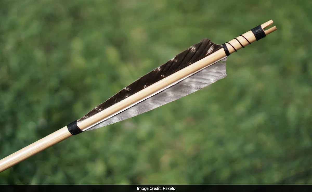 The Art of Baking: From Classic Bread to Artisan Pastries