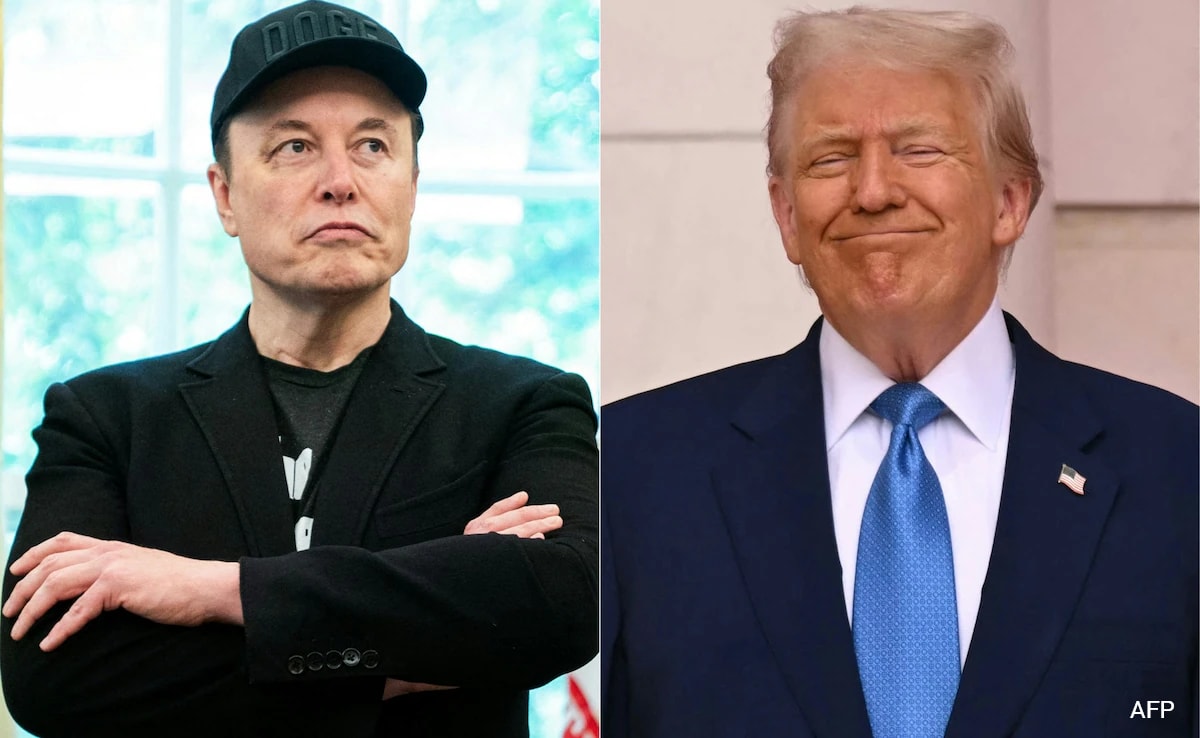 ‘Vrede of stukje Groenland?’ Elon Musk graaft in het nieuwe Gazabord van Donald Trump