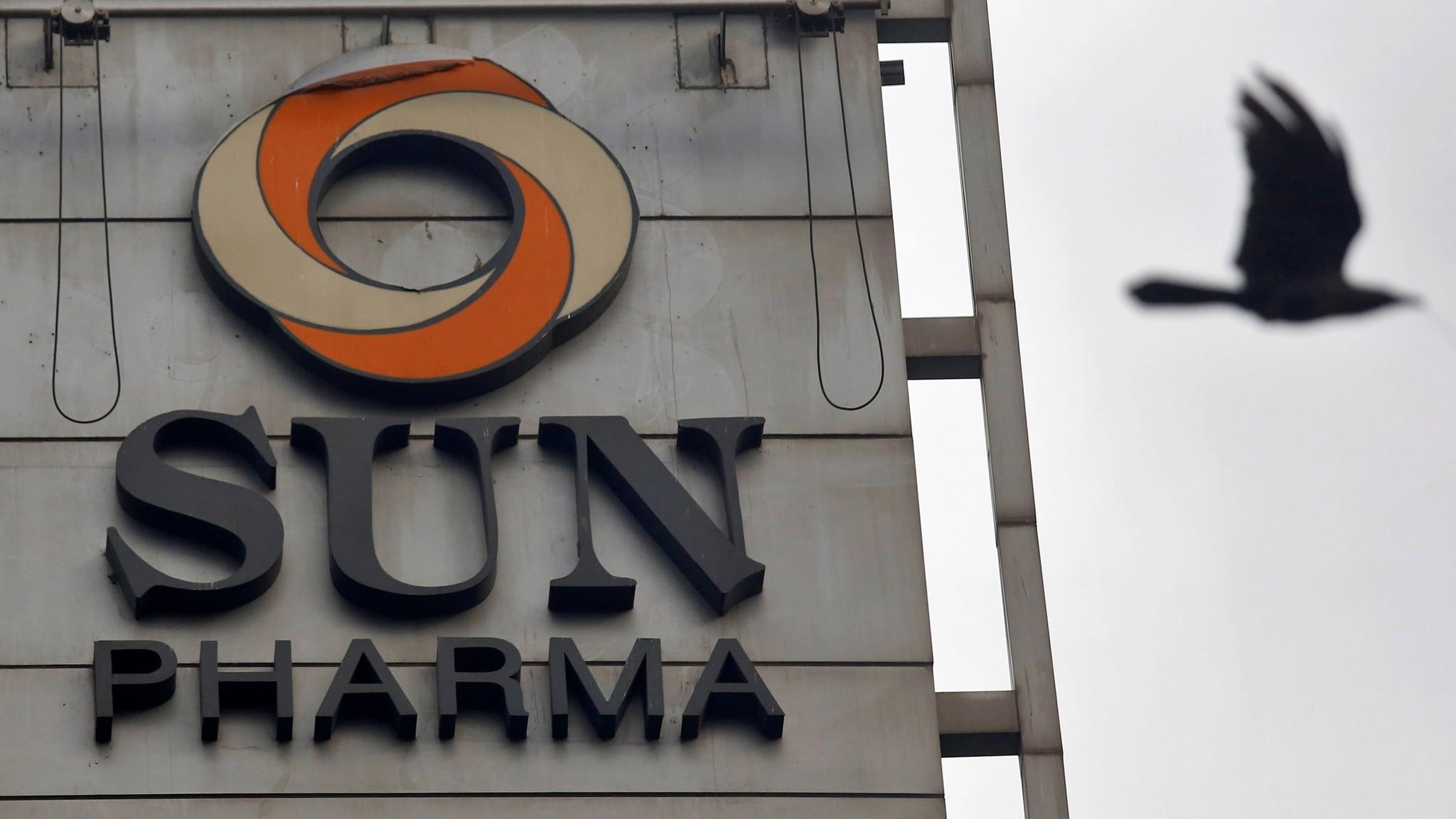 Sun Pharma's Margin Continues To Be Driven By India, Global Specialty Sales, Says CFO